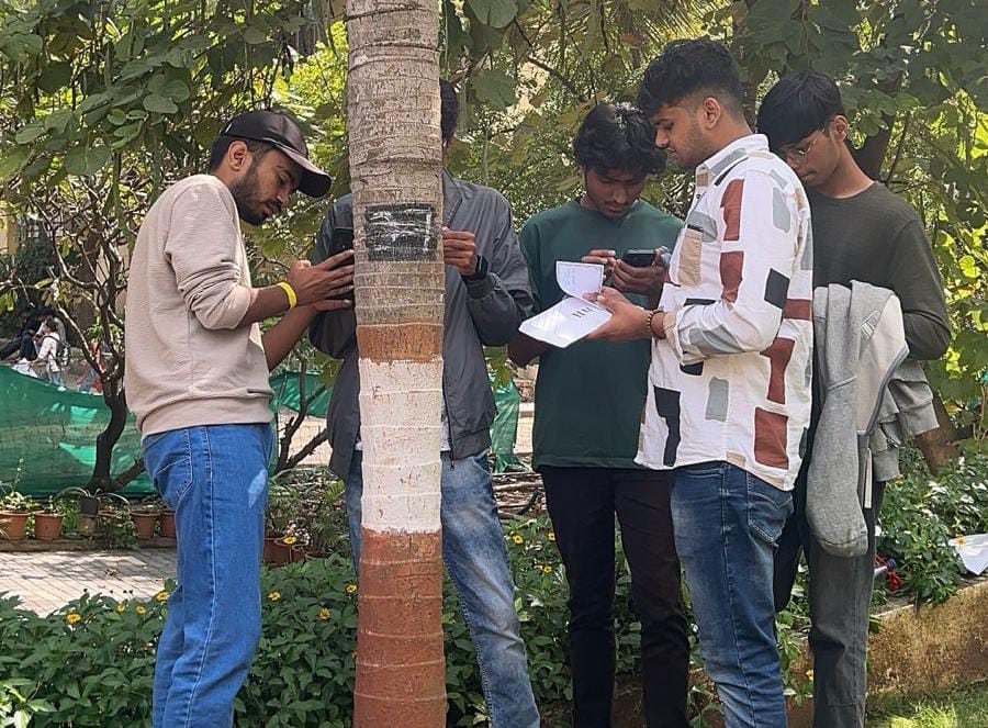 Treasure Hunt Image 1